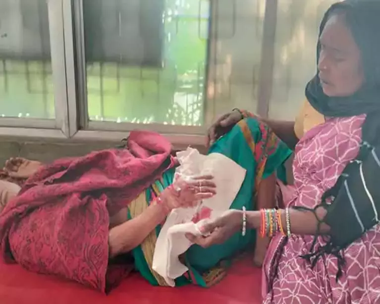 पागल कुत्तों का आतंक, 3 गांवों में 5 लोगों पर किया हमला पागल कुत्तों का आतंक, 3 गांवों में 5 लोगों पर किया हमला