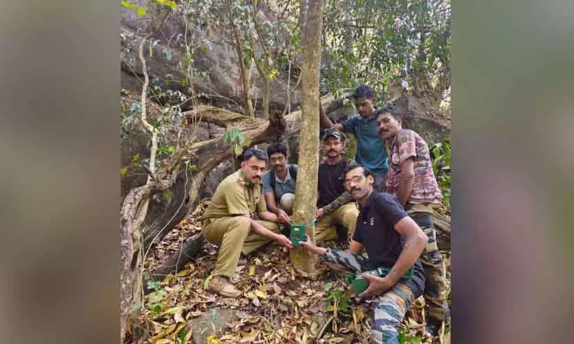 Kaduva जनगणना: नीलांबुर जंगल में 260 कैमरे लाइव हुए Kaduva जनगणना: नीलांबुर जंगल में 260 कैमरे लाइव हुए