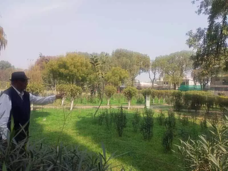 गुलाब के फूलों के बीच Mohali का बगीचा बंजर गुलाब के फूलों के बीच Mohali का बगीचा बंजर