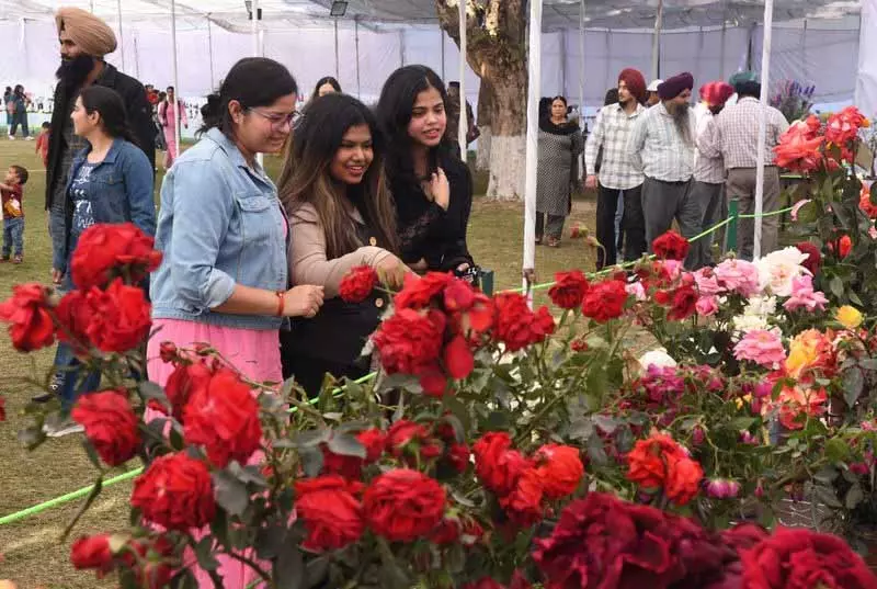 Chandigarh: 54वां स्वच्छ रोज़ फ़ेस्टिवल पुरस्कार वितरण समारोह के साथ संपन्न हुआ Chandigarh: 54वां स्वच्छ रोज़ फ़ेस्टिवल पुरस्कार वितरण समारोह के साथ संपन्न हुआ