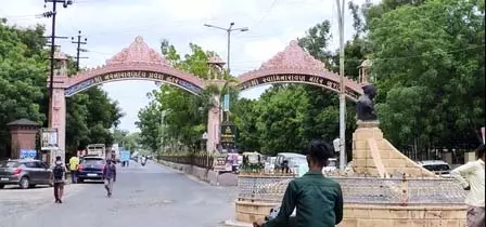 Gujarat के कच्छ जिले का घेडी गांव जीरा खेती के मामले में बना मिसाल Gujarat के कच्छ जिले का घेडी गांव जीरा खेती के मामले में बना मिसाल