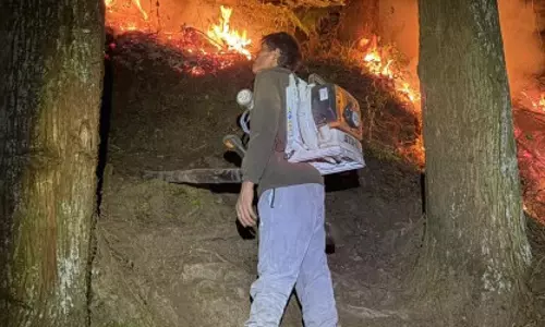 वन विभाग, संगाचोलिंग मठ के पास और डेंटम के खोरुंग में लगी आग पर काफी हद तक काबू पा लिया