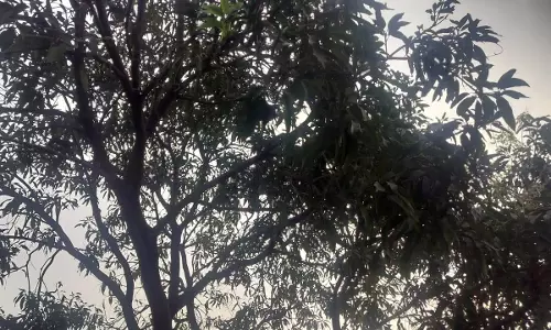 हल्की बारिश के आसार बस्तर संभाग में, रायपुर में बदली हल्की बारिश के आसार बस्तर संभाग में, रायपुर में बदली