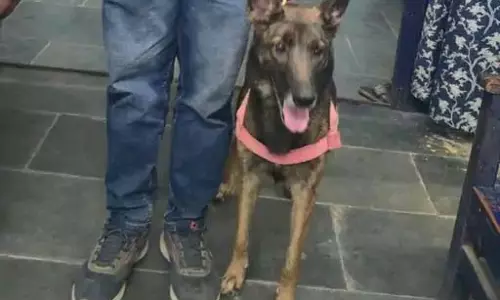 पुलिस के डॉग ने लापता इंसान को ढूंढ निकाला, सूंघते-सूंघते पहुंचा 10 किलोमीटर तक