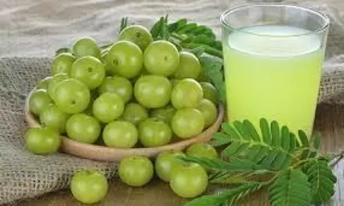 Amla Water Benefits: रोजाना आंवला पानी पीने से होंगे फायदे,जानिए कब और कैसे करें सेवन Amla Water Benefits: रोजाना आंवला पानी पीने से होंगे फायदे,जानिए कब और कैसे करें सेवन