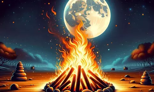 Holika Dahan 2026: होलिका दहन में इन पेड़ों की लकड़ियों से बचें, वरना हो सकता है नुकसान