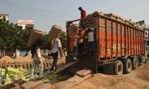 धान खरीद घोटाला: Karnal के आढ़तियों और मिल मालिकों ने अग्रिम जमानत के लिए कोर्ट में दायर की याचिका
