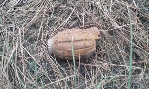 गांव के पास जंगल में मिला पुराना ग्रेनेड मिला