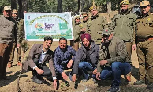 Bhaderwah  वन विभाग और स्थानीय लोगों ने भद्रवाह में 500 पौधे लगाए