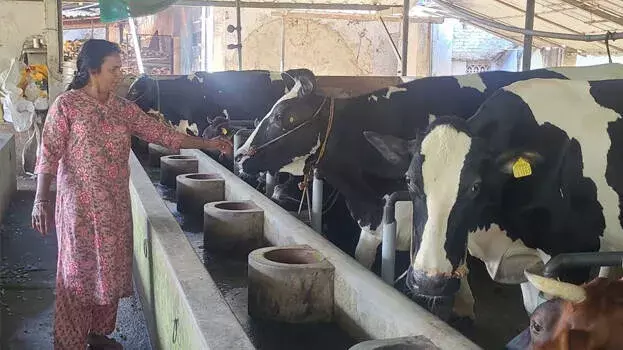 Kerala: पशुपालन में मिसाल: प्रमिला शाजी को सर्वश्रेष्ठ महिला किसान का खिताब