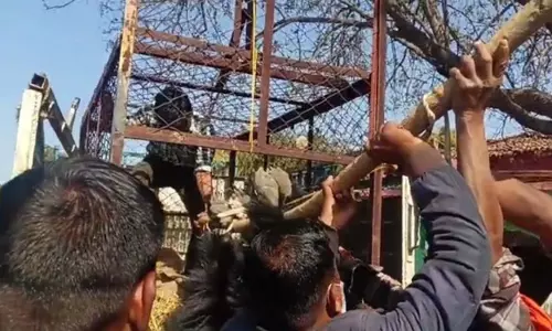 बीमारी नहीं था मृत हालत में मिला भालू, पीएम रिपोर्ट में तीर मिलने का दावा बीमारी नहीं था मृत हालत में मिला भालू, पीएम रिपोर्ट में तीर मिलने का दावा