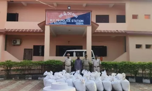 Malkangiri में 1025 किलोग्राम गांजा जब्त, एक गिरफ्तार
