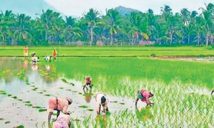 Telangana : आसिफाबाद में बारिश से किसानों को राहत मिली Telangana : आसिफाबाद में बारिश से किसानों को राहत मिली