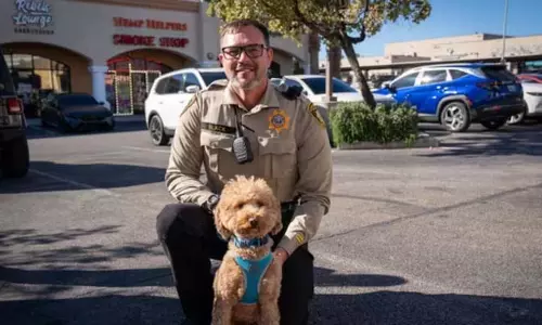 Las Vegas एयरपोर्ट पर छोड़ा गया कुत्ता वायरल हो गया और उसे नया घर मिल गया
