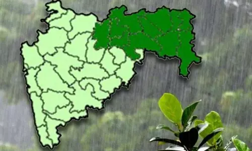 नागपुर, भंडारा, गोंदिया में तूफ़ान के कारण विदर्भ alert पर नागपुर, भंडारा, गोंदिया में तूफ़ान के कारण विदर्भ alert पर