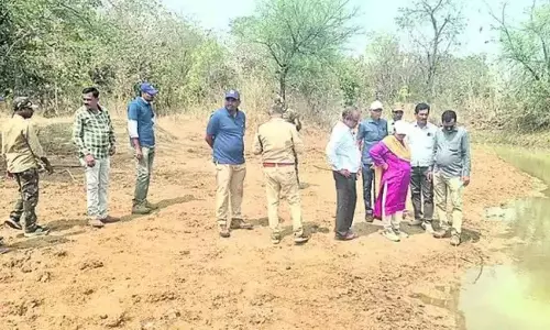 Jagtial के बीरपुर में बाघ की पुष्टि, गांवों में हाई अलर्ट Jagtial के बीरपुर में बाघ की पुष्टि, गांवों में हाई अलर्ट