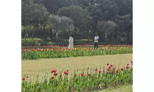 भारत में चीनी राजदूत ने New Delhi में आयोजित ट्यूलिप महोत्सव की सराहना की भारत में चीनी राजदूत ने New Delhi में आयोजित ट्यूलिप महोत्सव की सराहना की