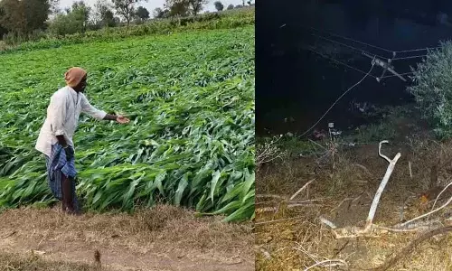 Rayapole Mandal में अचानक बारिश से भारी नुकसान