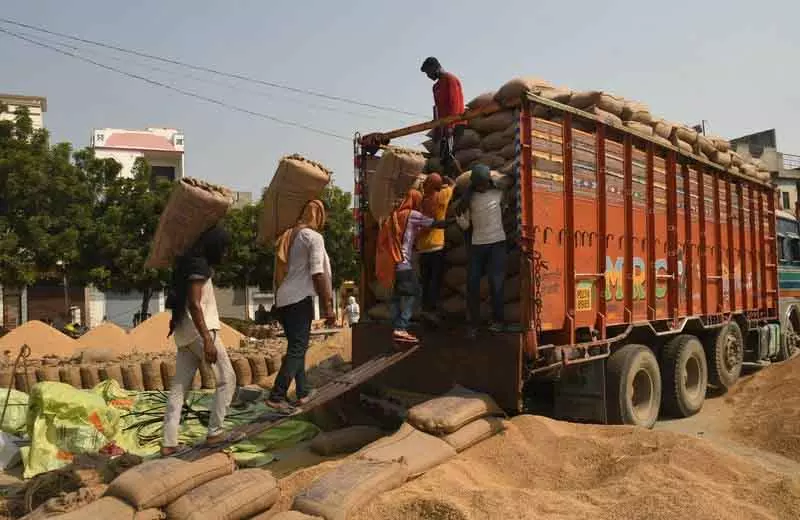 धान खरीद घोटाला: Karnal के आढ़तियों और मिल मालिकों ने अग्रिम जमानत के लिए कोर्ट में दायर की याचिका धान खरीद घोटाला: Karnal के आढ़तियों और मिल मालिकों ने अग्रिम जमानत के लिए कोर्ट में दायर की याचिका
