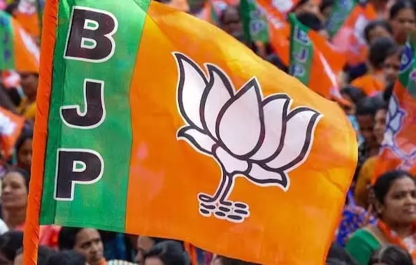 छत्तीसगढ़ बीजेपी ने राज्यसभा चुनाव 2026 के लिए कई नाम भेजे छत्तीसगढ़ बीजेपी ने राज्यसभा चुनाव 2026 के लिए कई नाम भेजे