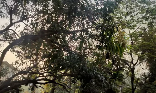बेमौसम बारिश से सब्जी उत्पादक किसानों को भारी नुकसान, आज भी मौसम का मिजाज बदला बेमौसम बारिश से सब्जी उत्पादक किसानों को भारी नुकसान, आज भी मौसम का मिजाज बदला