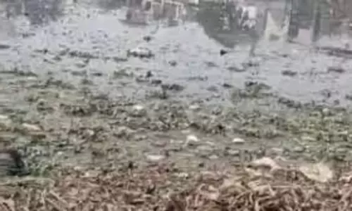 Greater Noida: लापता 5 वर्ष मासूम का शव  तालाब से बरामद ,इलाके में हड़कंप
