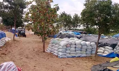 धान खरीद केंद्र पर व्यापारियों को प्राथमिकता - Farmers चिंतित धान खरीद केंद्र पर व्यापारियों को प्राथमिकता - Farmers चिंतित