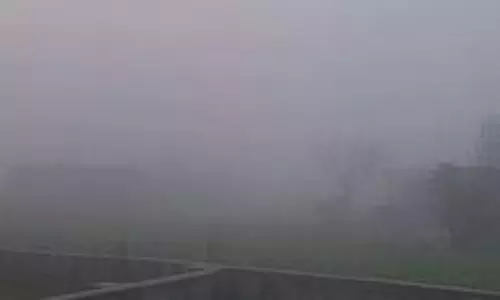 Jammu Kashmir :बदला मौसम का मिजाज, घने कोहरे से थमी रफ्तार Jammu Kashmir :बदला मौसम का मिजाज, घने कोहरे से थमी रफ्तार