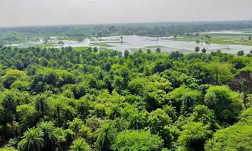 Mission Prakriti : राज्य के 10 स्कूलों को मिला बेस्ट स्कूल अवॉर्ड Mission Prakriti : राज्य के 10 स्कूलों को मिला बेस्ट स्कूल अवॉर्ड