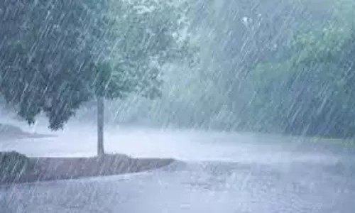 Jharkhand weather:तेज हवा और वज्रपात के साथ बारिश, IMD का अलर्ट