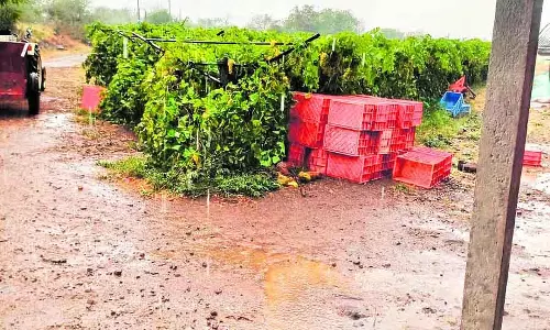 Karnataka rains : कल्याण, कित्तूर कर्नाटक में बारिश Karnataka rains : कल्याण, कित्तूर कर्नाटक में बारिश