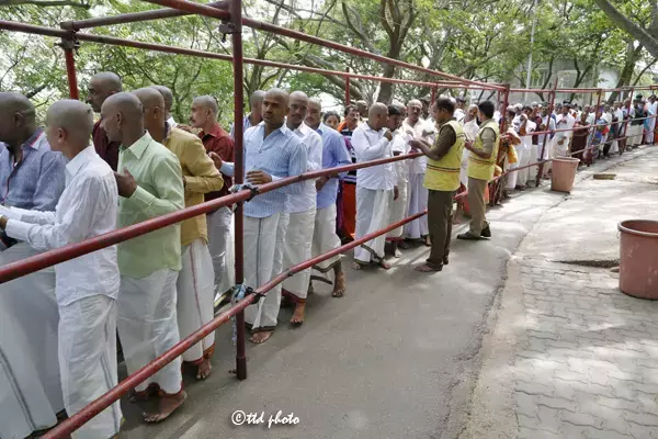 TTD ने दर्शन के लिए लाइन में सांप काटने के दावे को खारिज किया