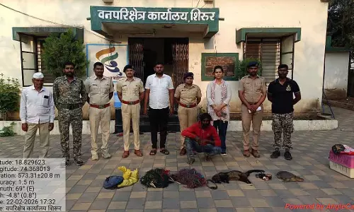 Pune : आरोपी को तेंदुए और सॉफ्ट-शेल वाले कछुए के साथ गिरफ्तार किया गया Pune : आरोपी को तेंदुए और सॉफ्ट-शेल वाले कछुए के साथ गिरफ्तार किया गया