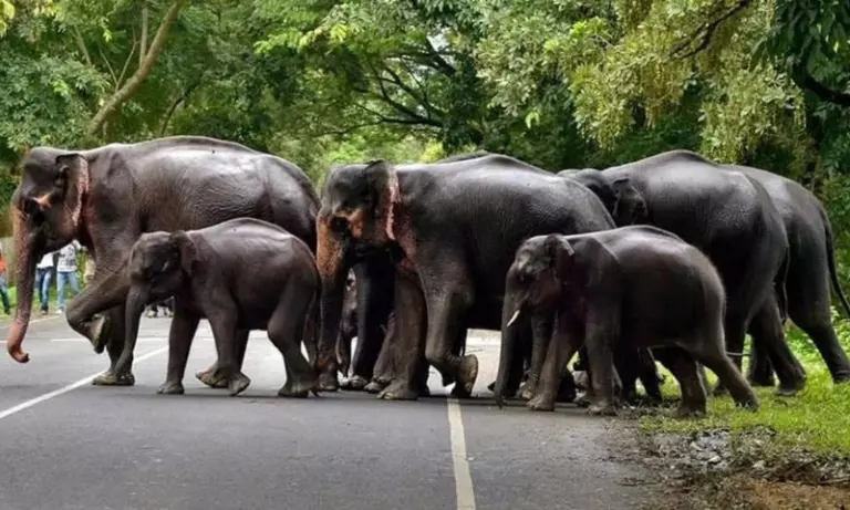 Assam में पंप स्टोरेज प्रोजेक्ट को मंजूरी, कार्बी आंगलोंग में बढ़ी चर्चा Assam में पंप स्टोरेज प्रोजेक्ट को मंजूरी, कार्बी आंगलोंग में बढ़ी चर्चा