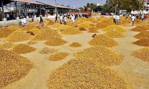 अधिकारियों ने Nizamabad मार्केट यार्ड के लिए छुट्टी घोषित की अधिकारियों ने Nizamabad मार्केट यार्ड के लिए छुट्टी घोषित की