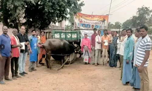 नलगोंडा के गांवों में किसानों के लिए फ्री Veterinary Camps लगाए गए नलगोंडा के गांवों में किसानों के लिए फ्री Veterinary Camps लगाए गए