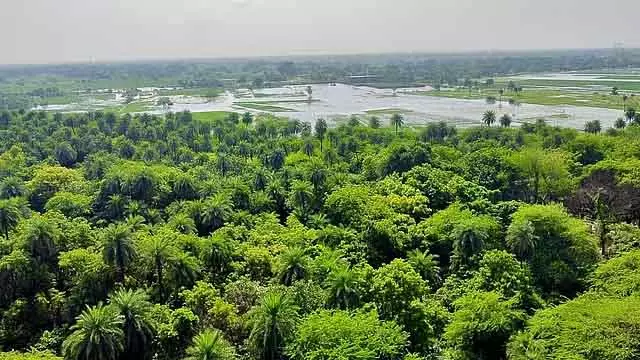 Mission Prakriti : राज्य के 10 स्कूलों को मिला बेस्ट स्कूल अवॉर्ड Mission Prakriti : राज्य के 10 स्कूलों को मिला बेस्ट स्कूल अवॉर्ड