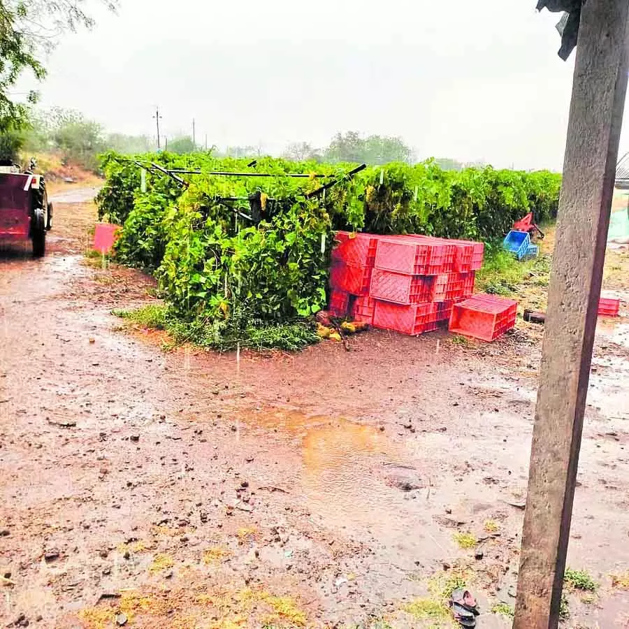 Karnataka rains : कल्याण, कित्तूर कर्नाटक में बारिश Karnataka rains : कल्याण, कित्तूर कर्नाटक में बारिश