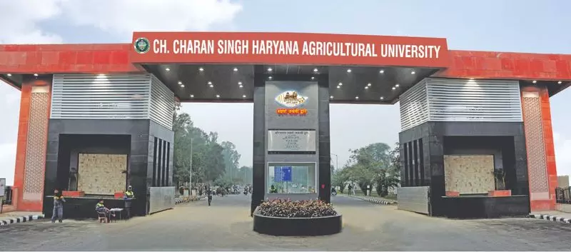 हरियाणा सरकार के ग्रांट-इन-एड के बजाय लोन देने के फैसले का HAU के लिए क्या मतलब हरियाणा सरकार के ग्रांट-इन-एड के बजाय लोन देने के फैसले का HAU के लिए क्या मतलब