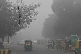 Jammu: मंगलवार सुबह अचानक बढ़ी ठंड और कोहरा Jammu: मंगलवार सुबह अचानक बढ़ी ठंड और कोहरा
