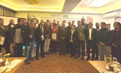Sikkim: 700 किसानों को बड़ी इलायची के लिए मौसम आधारित फसल बीमा मिलेगा