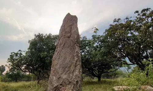 Tamil Nadu : थट्राल्ली में प्राचीन पत्थर की नक्काशी मिली