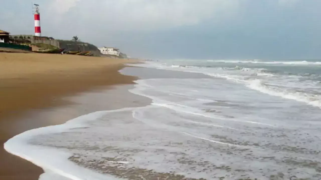 Tourism hub by turtles: ओडिशा को इको-टूरिज्म और पूर्वोदय पर फोकस से फायदा होगा Tourism hub by turtles: ओडिशा को इको-टूरिज्म और पूर्वोदय पर फोकस से फायदा होगा