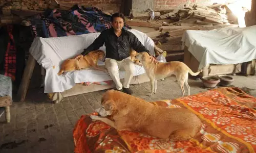 Amritsar के पशु प्रेमी ने आवारा जानवरों की आबादी को मैनेज करने में मिसाल कायम की Amritsar के पशु प्रेमी ने आवारा जानवरों की आबादी को मैनेज करने में मिसाल कायम की