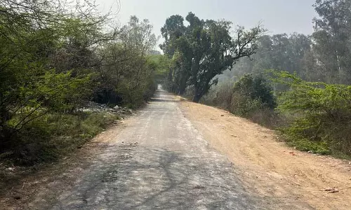 Malerkotla में कम इस्तेमाल होने वाली लिंक सड़कें असामाजिक तत्वों के लिए सुरक्षित जगह, आने-जाने वालों को खतरा