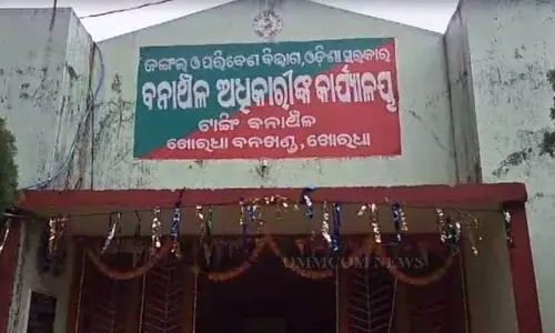 Khordha के टांगी में हाथी ने आदमी को कुचलकर मार डाला, दो लोग बाल-बाल बचे