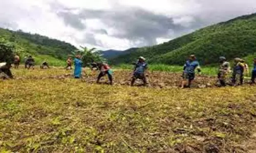 Nagaland के किसानों ने फसलों पर जलवायु परिवर्तन के असर की जानकारी दी