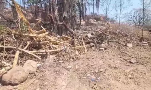 Congress Sarpanch ने जीनगुराला गांव में पल्ले प्रकृति वनम को नष्ट कर दिया