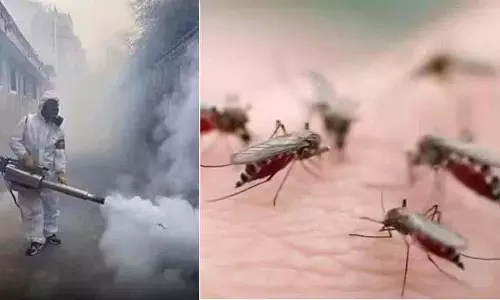 हैदराबाद GHMC मच्छर फॉगिंग में बड़ा घोटाला सामने आया