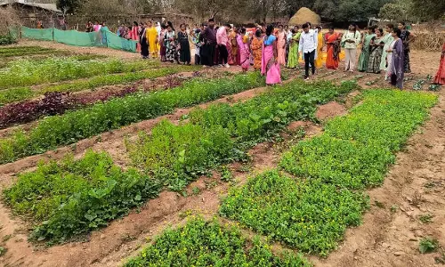 बस्तर के नवाचार देख उत्साहित हुईं बिलासपुर की दीदियाँ